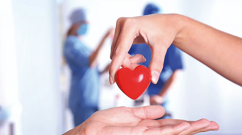 Two hands holding a heart in a hosipital setting