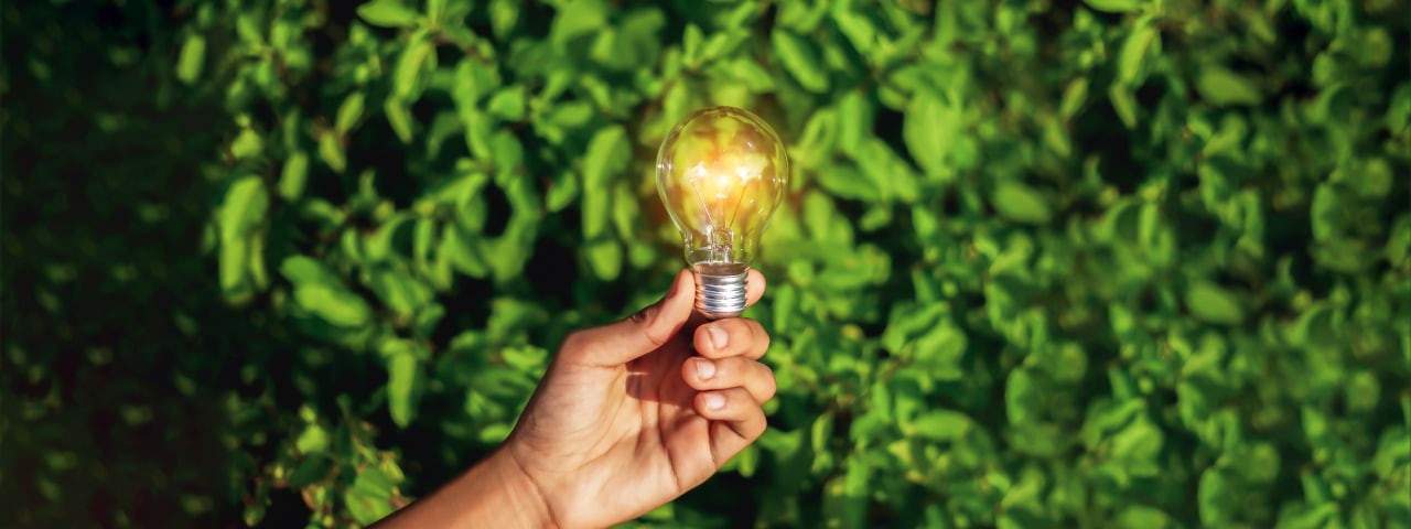 A lightbulb in someone's hand.